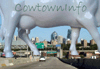 www.cowtowninfo.com